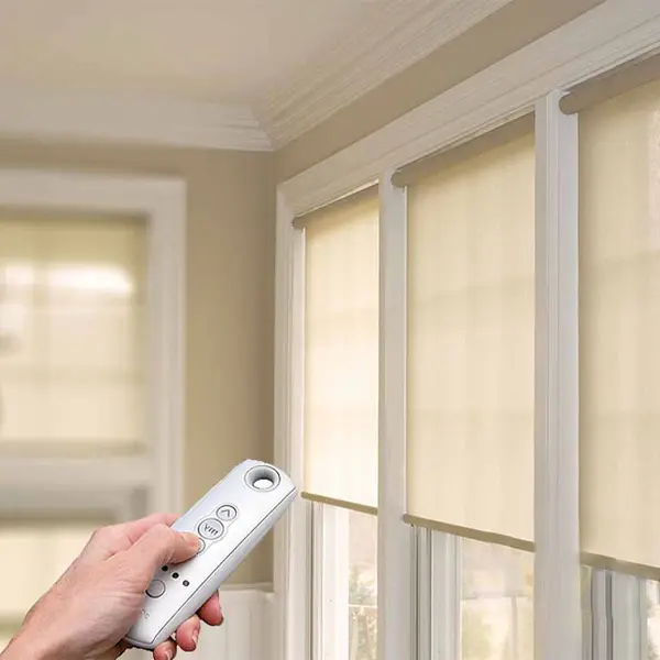 Zebra/Roller Shade Motorized Blinds Asset View 5