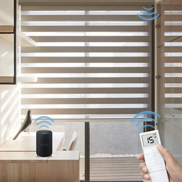 Zebra/Roller Shade Motorized Blinds Asset View 9