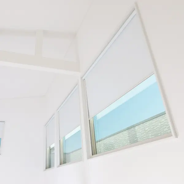 Bright roller shades framing a scenic window view, representative of Noor Windows & Blinds service in Hope, BC